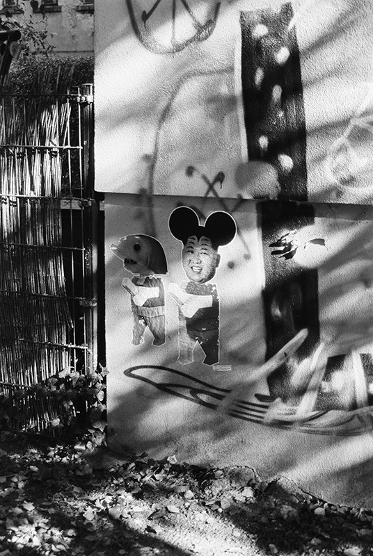 Entwicklung und Digitalisierung fotografischer Filme